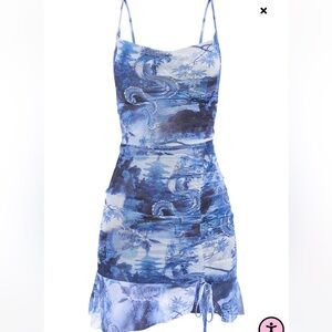 Dragon mesh bodycon dress